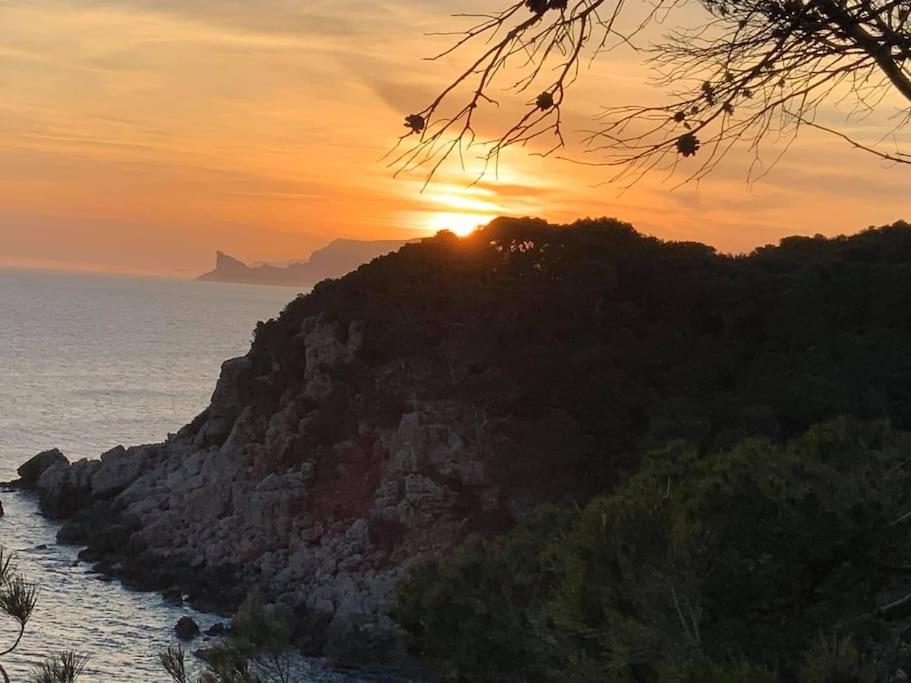 Athena Ohana, Les Pieds Dans L'Eau Bandol Exterior foto